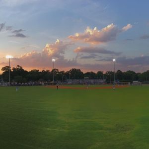 Image post by @ilmsharks on Instagram