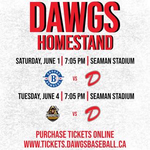 Image post by @okotoksdawgs on Instagram