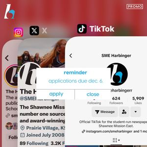 Image post by @smeharbinger on Instagram