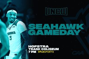 Image post by @theseahawkperch on Instagram