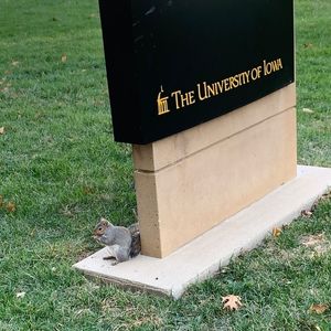 Image post by @uiowa on Instagram