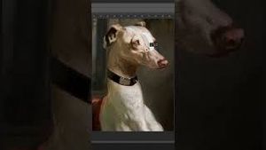 Video post by @photoshop on YouTube