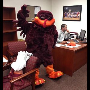 Image post by @hokiessoftball on Instagram
