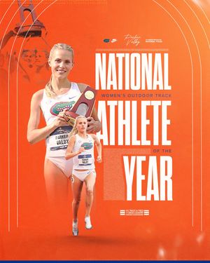 Image post by @gatorstf on Instagram