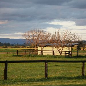 Image post by @gundyparkequine on Instagram