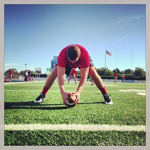 Image post by @isuredbirds on Instagram
