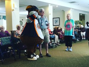 Image post by @swamprabbits on Instagram