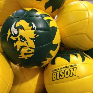 Image post by @ndsuvolleyball on Instagram