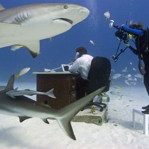 Image post by @discovery on Instagram