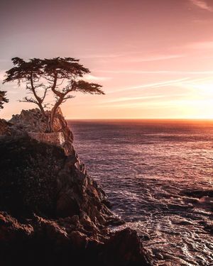 Image post by @pebblebeachresorts on Instagram