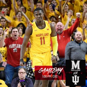 Image post by @terrapinhoops on Instagram