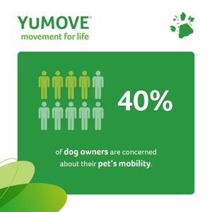 Image post by @yumove_usa on Instagram