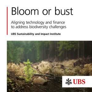 Image post by @ubs on Instagram