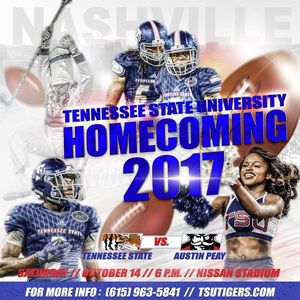 Image post by @tsutigers on Instagram