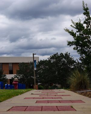 Image post by @swu_edu on Instagram