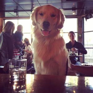 Image post by @10thmtnwhiskey on Instagram