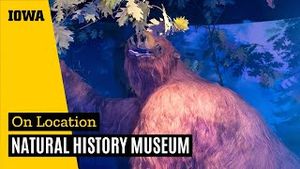 Video post by @uiowaadmissions on YouTube
