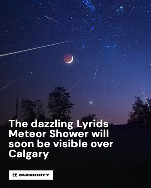 Image post by @curiocitycalgary on Instagram