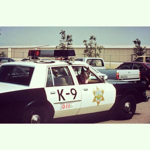 Image post by @vcsheriff on Instagram