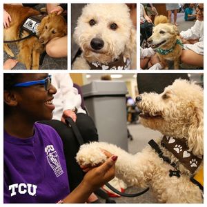 Image post by @texaschristianuniversity on Instagram