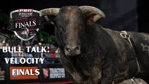 Video post by @pbr on YouTube