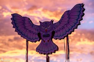 Image post by @edc_lasvegas on Instagram