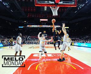 Image post by @terrapinhoops on Instagram