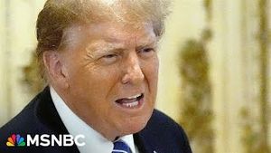 Video post by @msnbc on YouTube