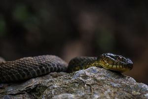 Image post by @jackportunephotography on Instagram