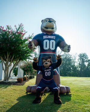 Image post by @belmontu on Instagram