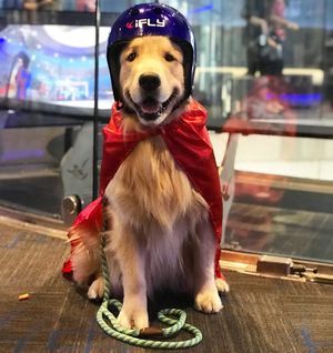 Image post by @iflyus on Instagram