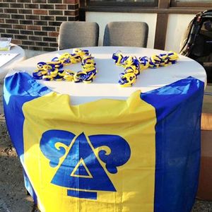 Image post by @wsu_theta on Instagram