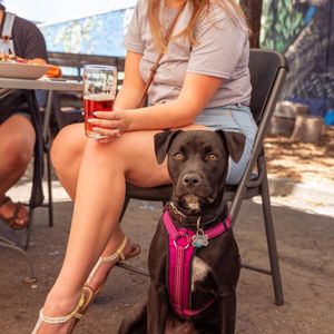 Image post by @sudwerkbrew on Instagram