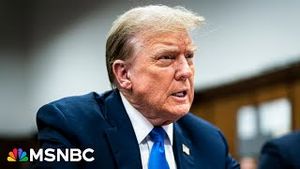 Video post by @msnbc on YouTube