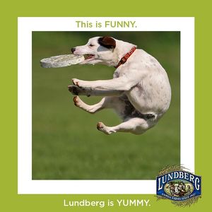 Image post by @lundbergfarms on Instagram