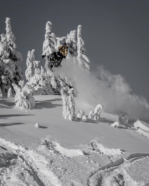 Image post by @loganpehota on Instagram