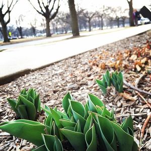 Image post by @uchicago on Instagram