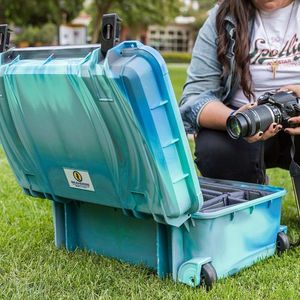 Image post by @seahorsecases on Instagram