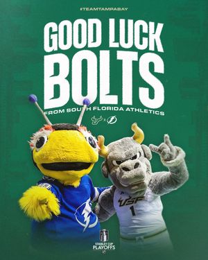 Image post by @USFAthletics on Twitter