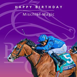 Image post by @breederscup on Instagram