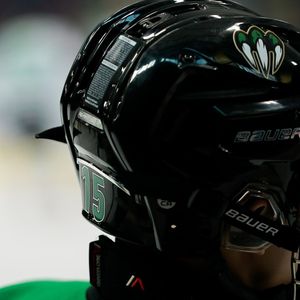 Image post by @usphlmonsters on Instagram