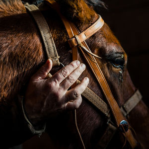 Image post by @pendletonwhisky on Instagram
