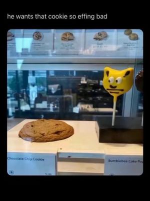 Video post by @srqparadise on TikTok