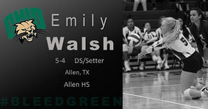 Image post by @ohiovb on Instagram