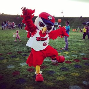 Image post by @nocoowlz on Instagram