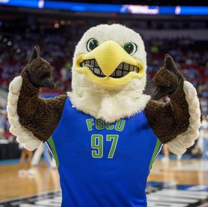 Image post by @fgcudirtybirds on Instagram