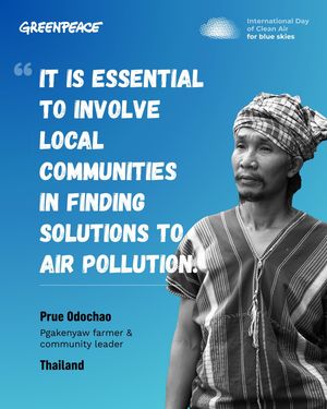 Image post by @greenpeace on Instagram