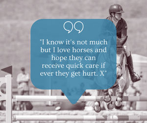 Image post by @NZHorseAmbulanceTrust on Facebook