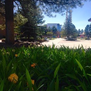 Image post by @nauflagstaff on Instagram