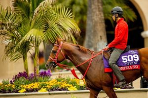 Image post by @breederscup on Instagram